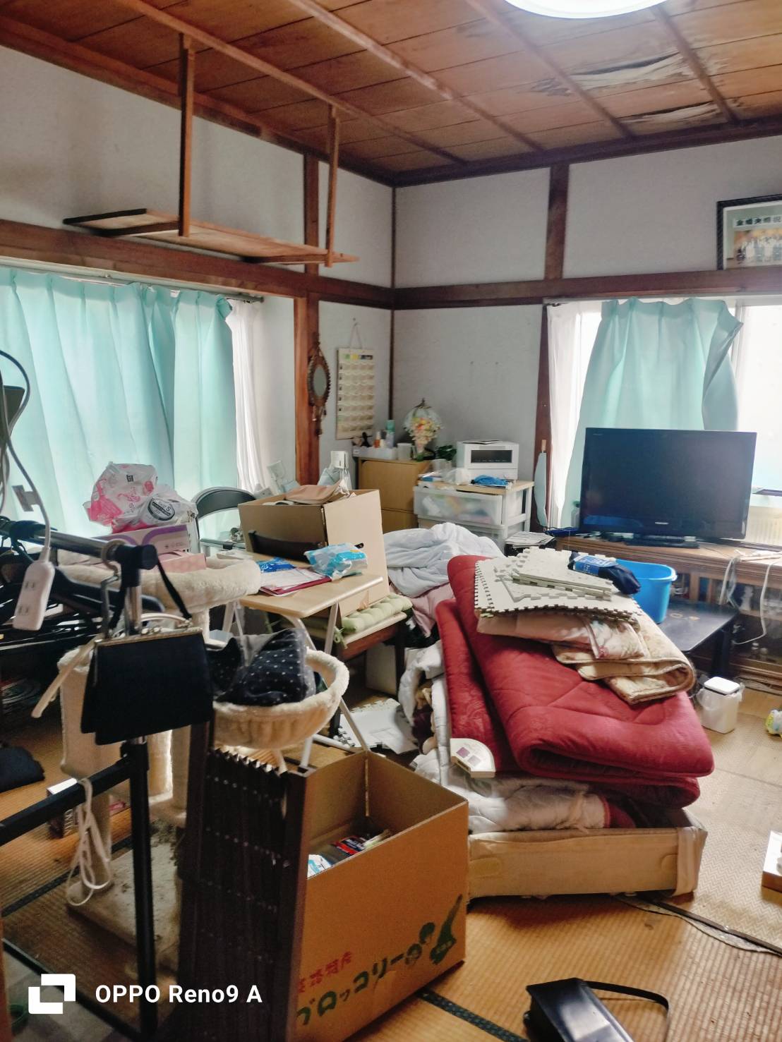 作業前の写真