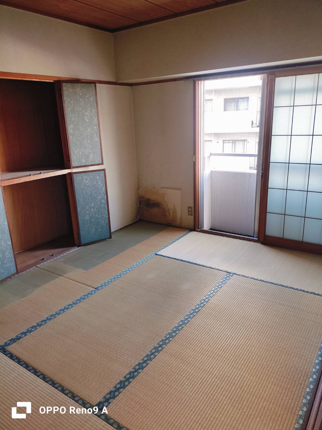 作業後の写真