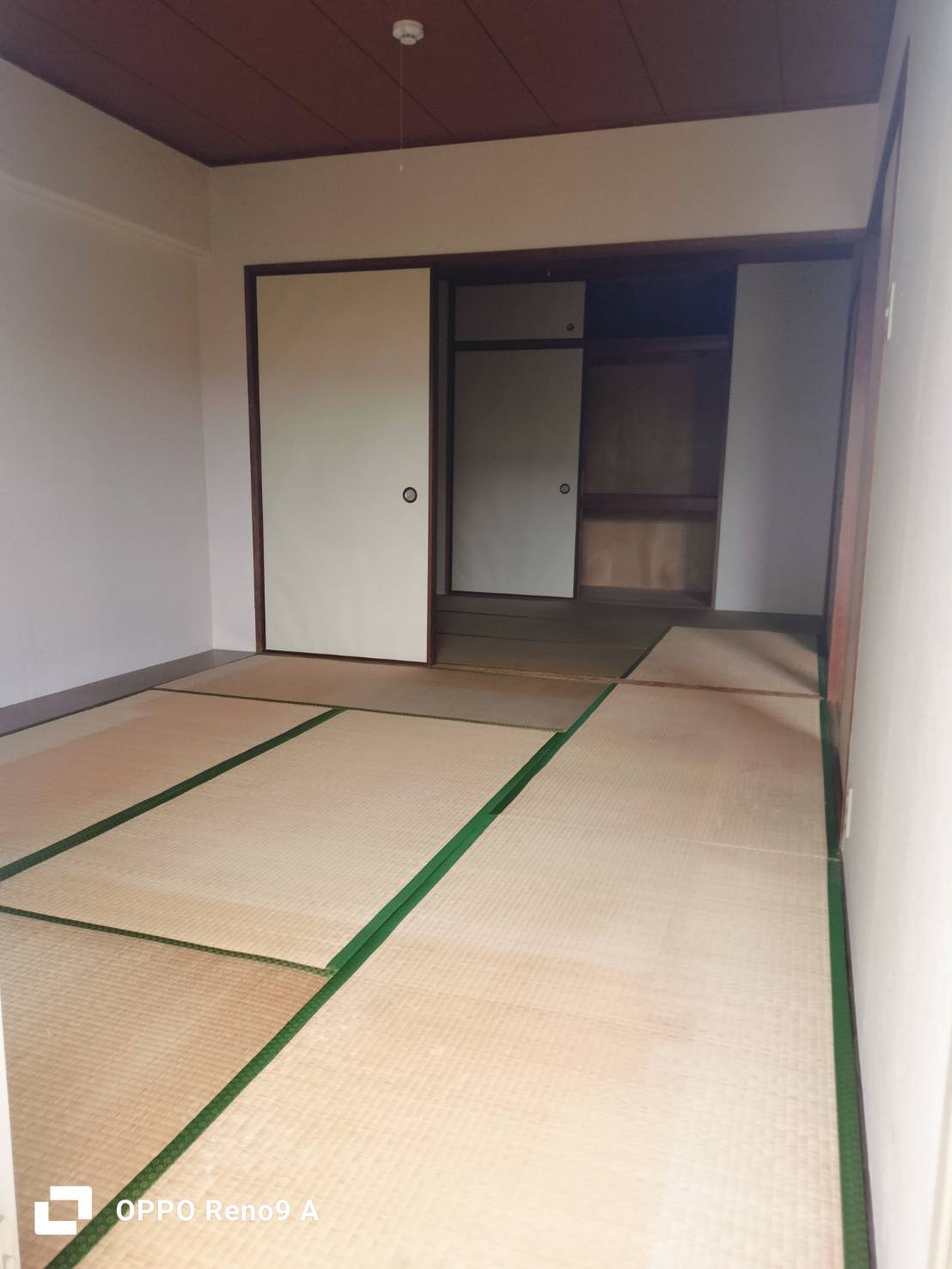 作業後の写真