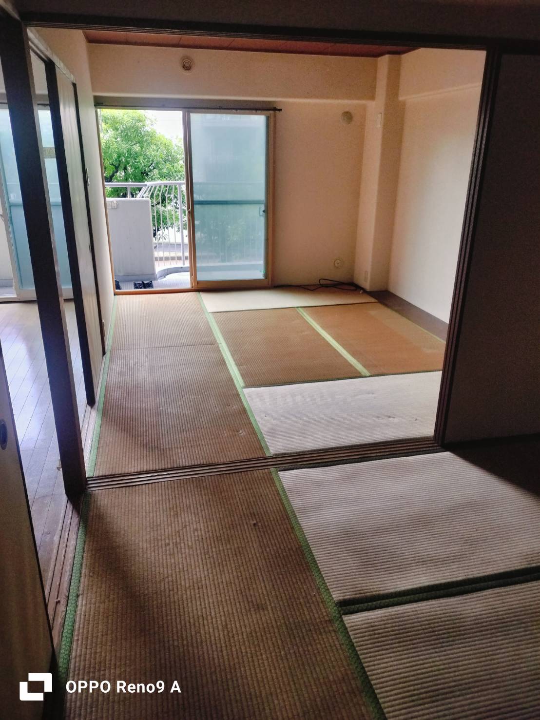 作業後の写真