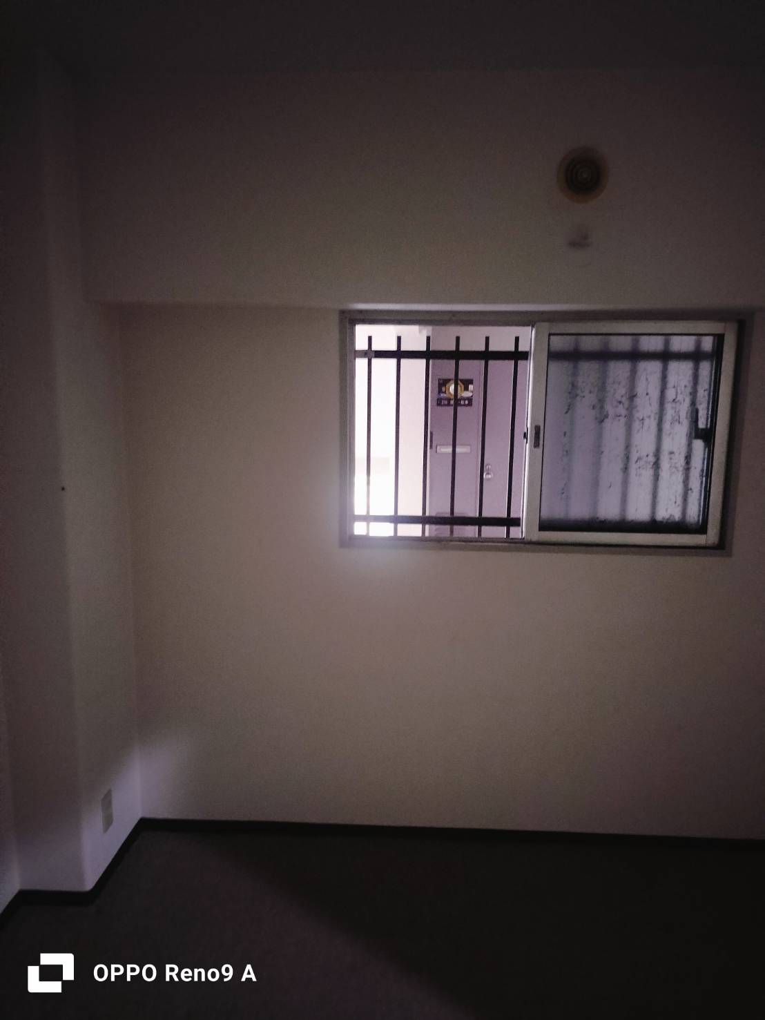 作業後の写真