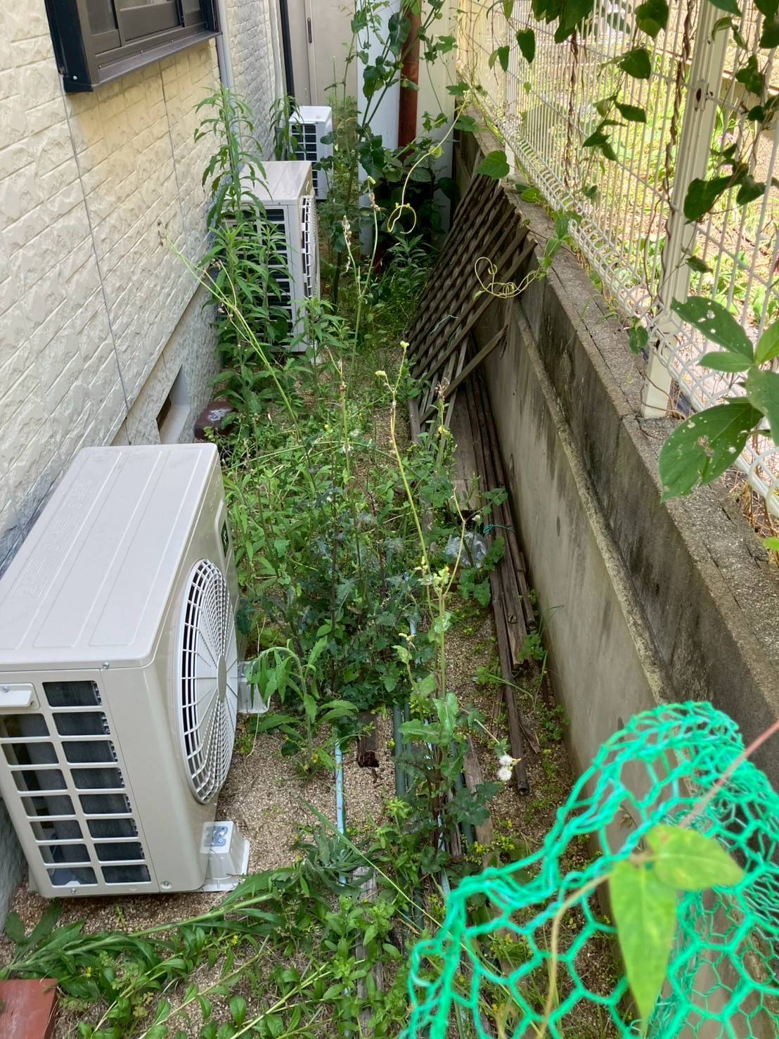 作業前の写真
