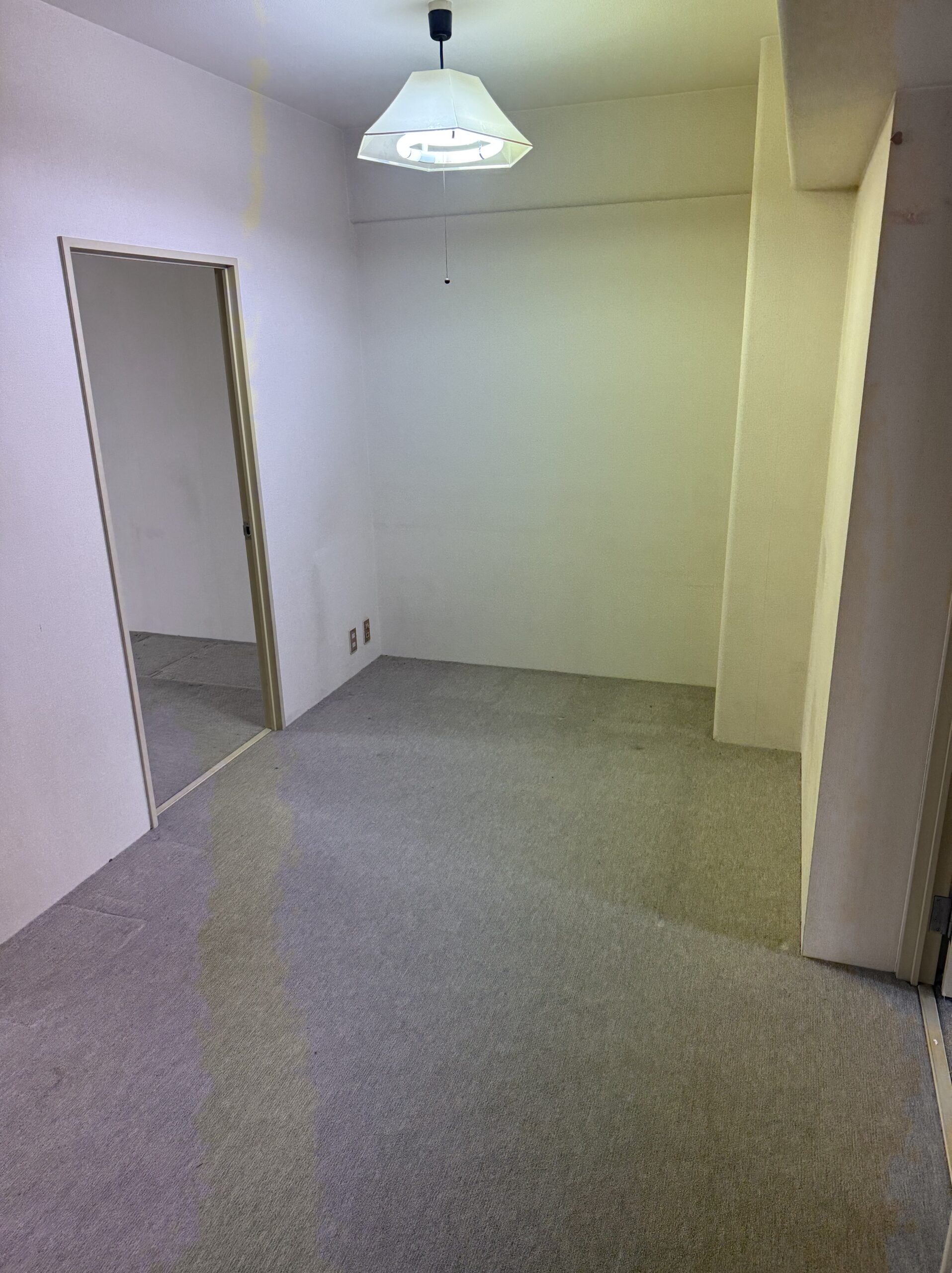 作業後の写真