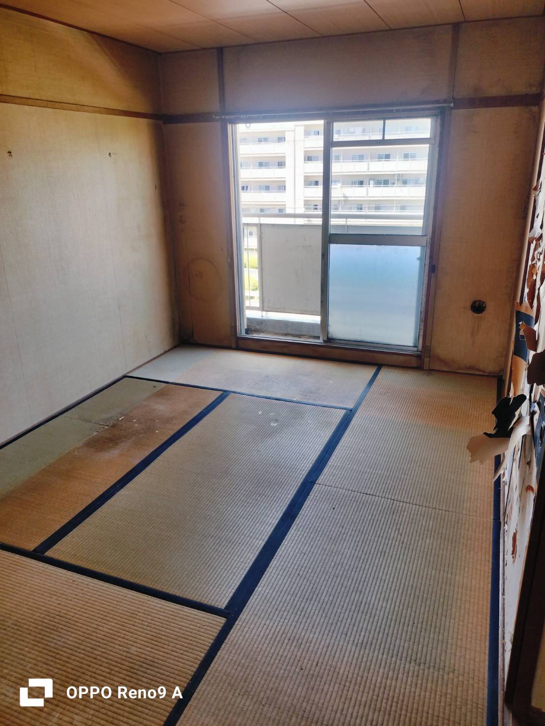 作業後の写真