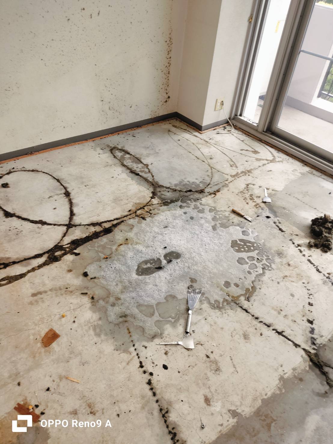 作業後の写真