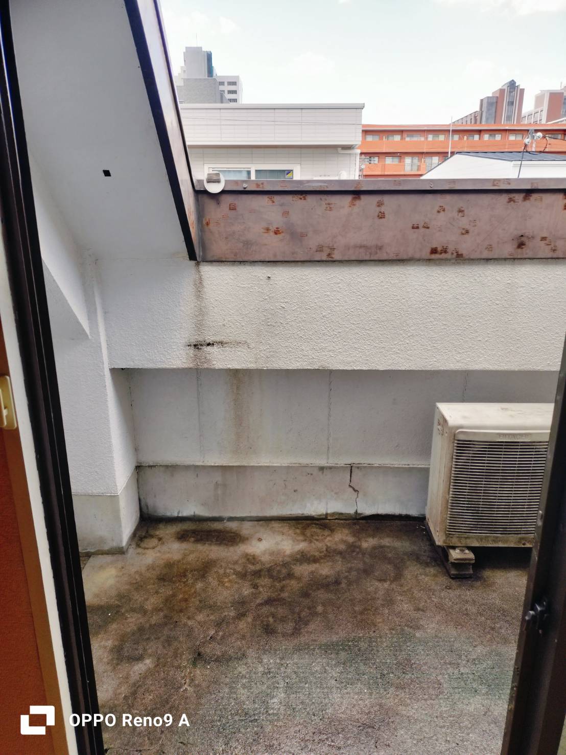 作業後の写真