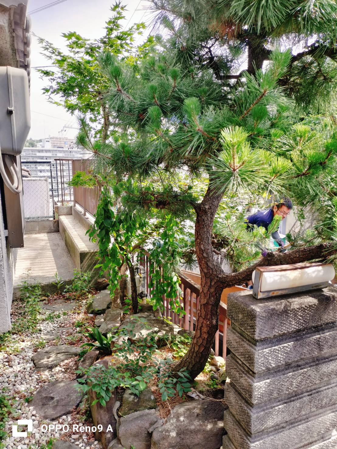 作業前の写真