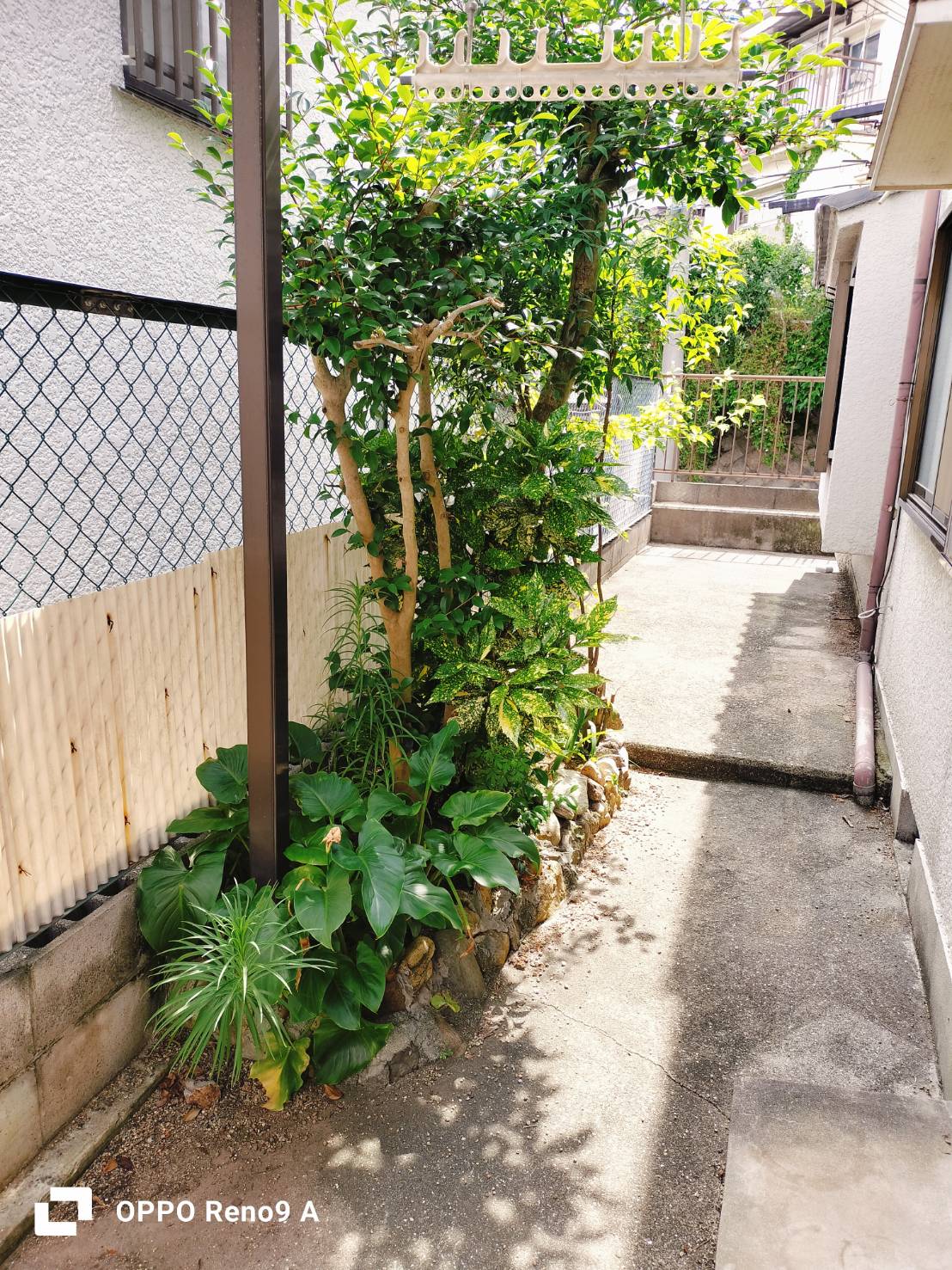 作業前の写真