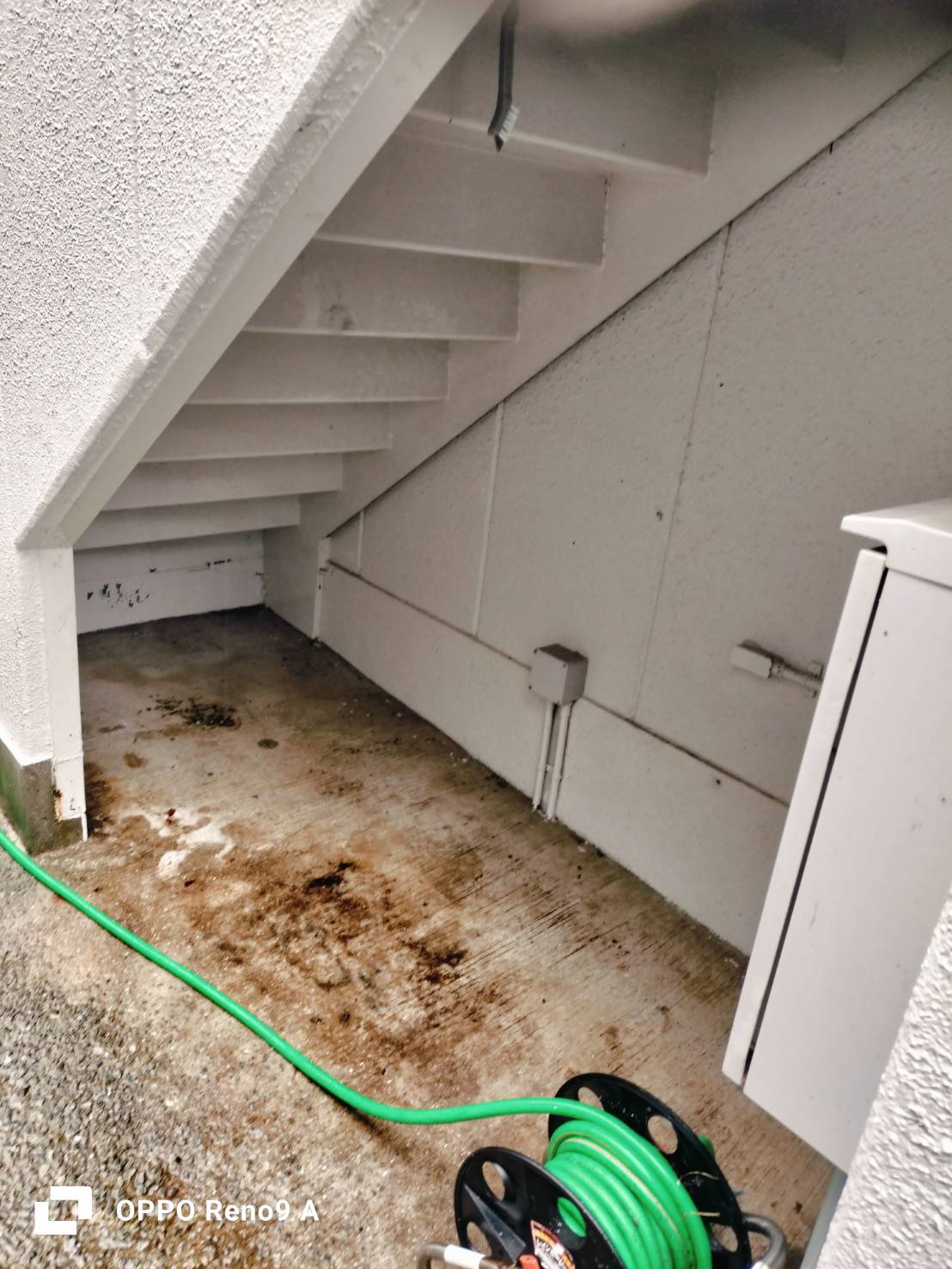 作業後の写真