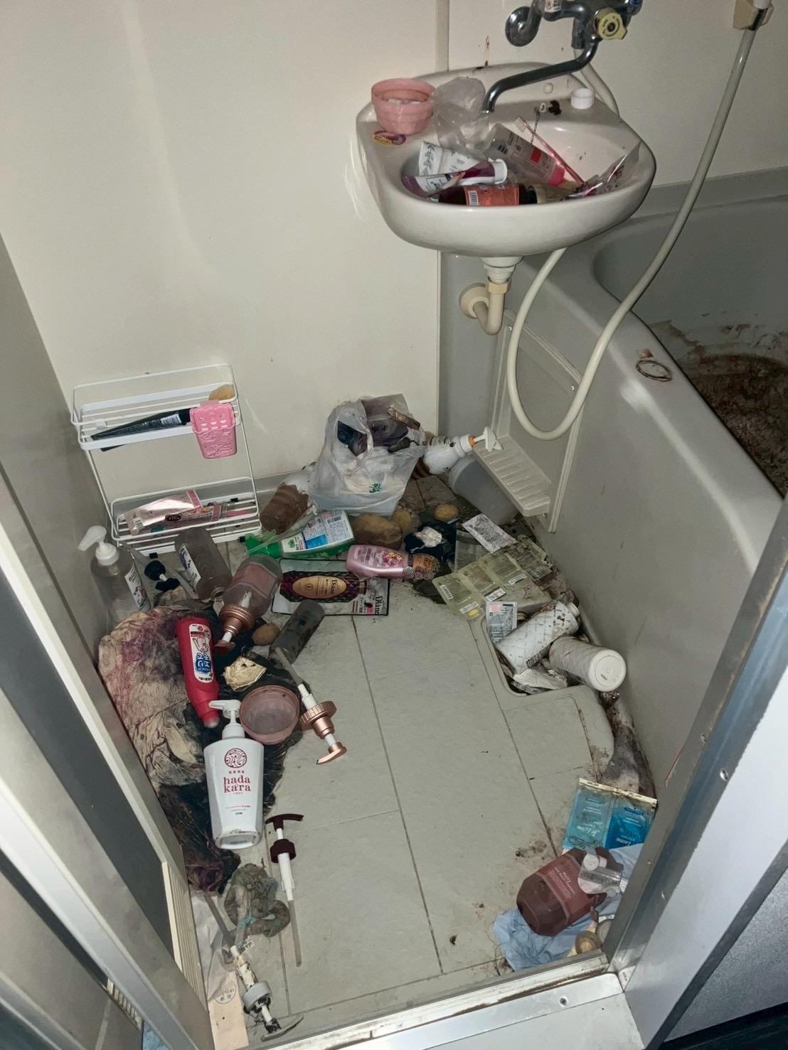 作業前の写真