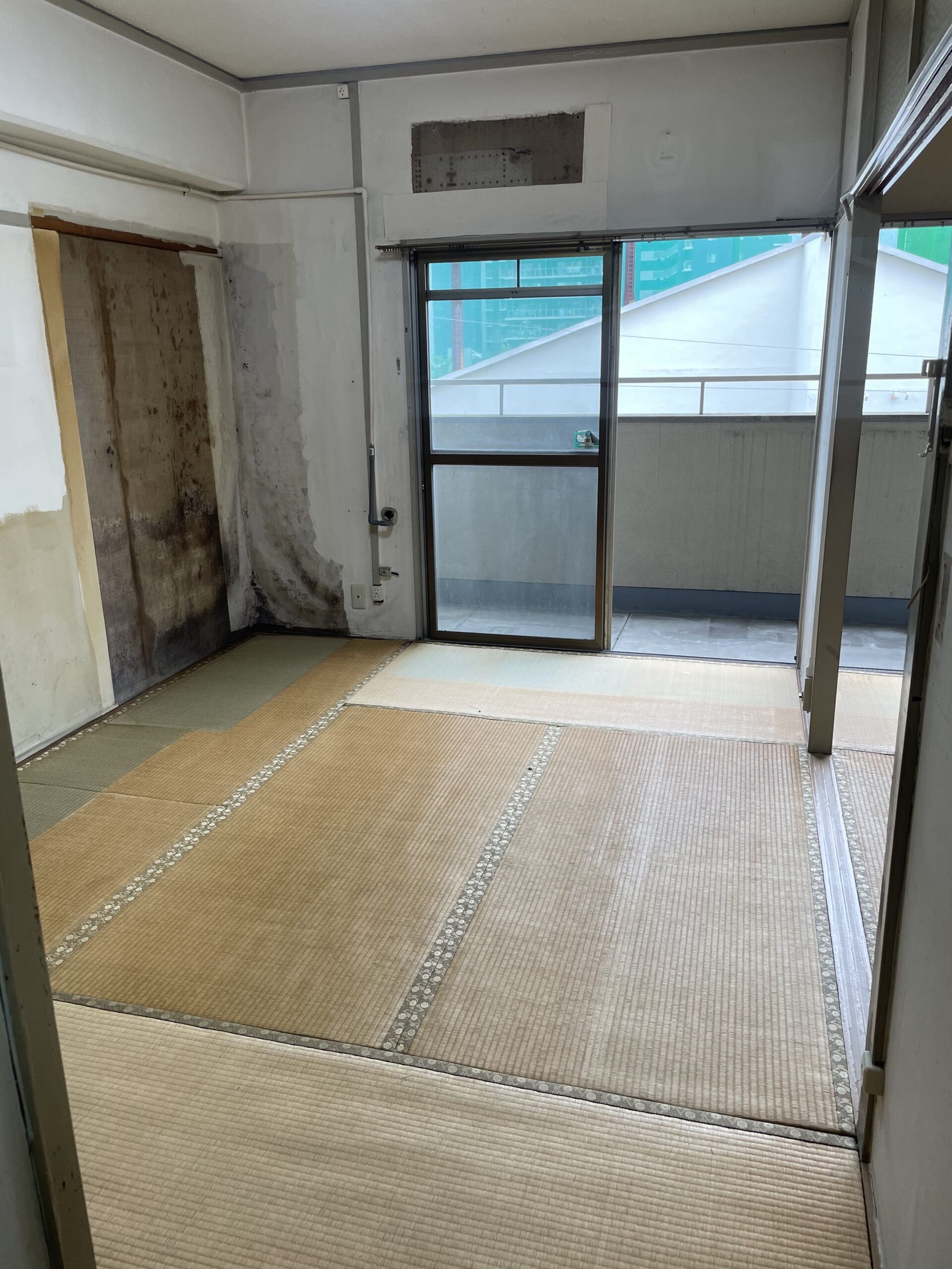 作業後の写真