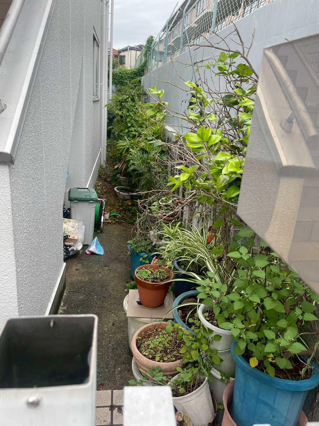 作業前の写真