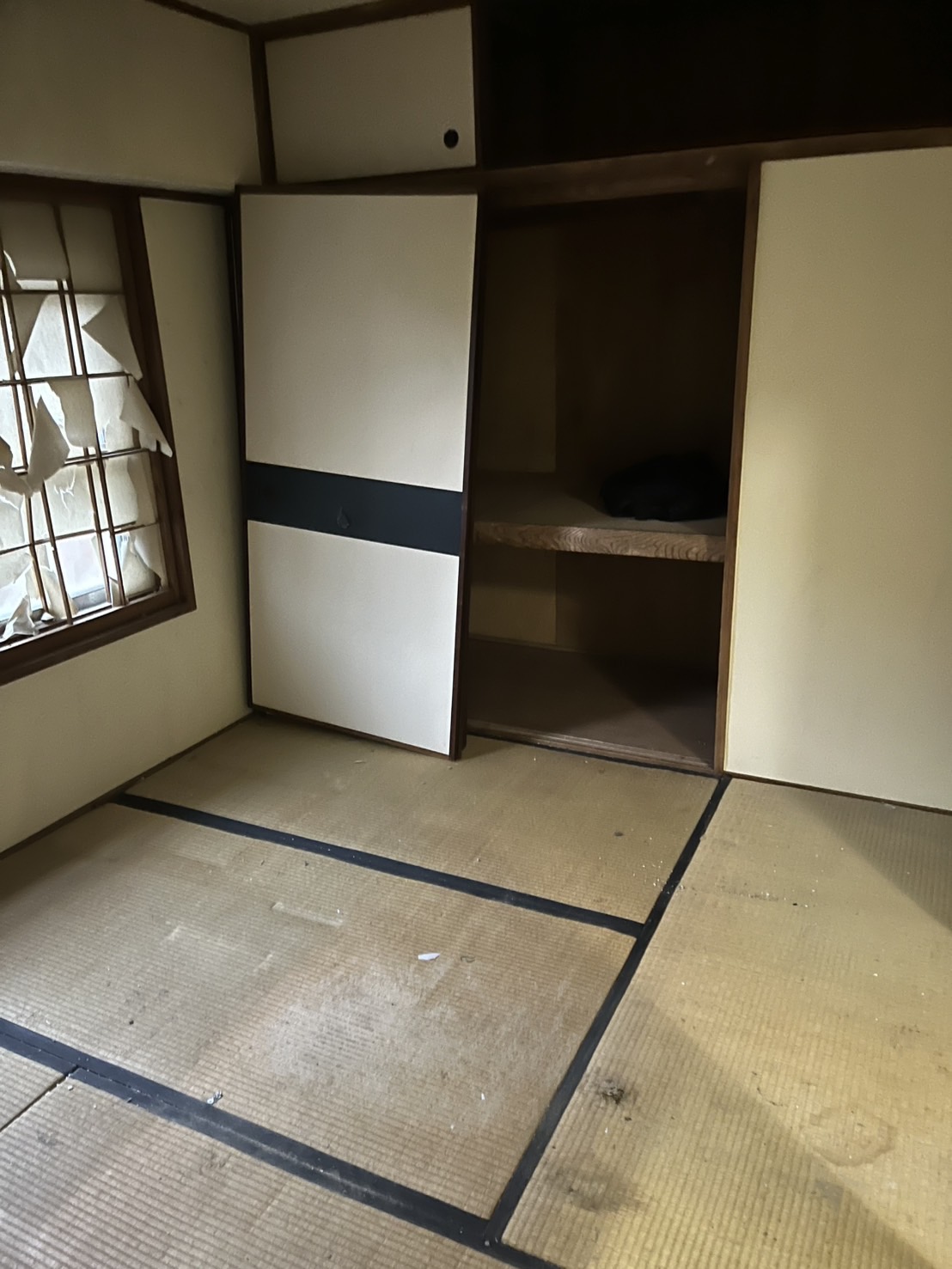 作業後の写真