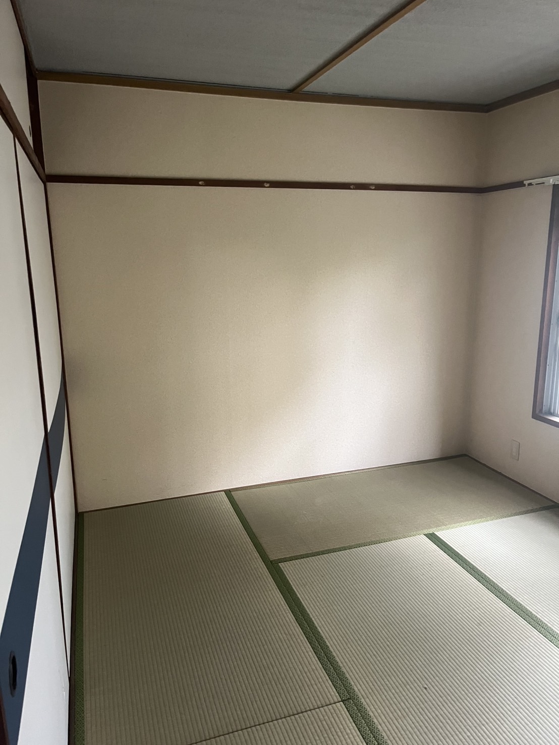 作業後の写真