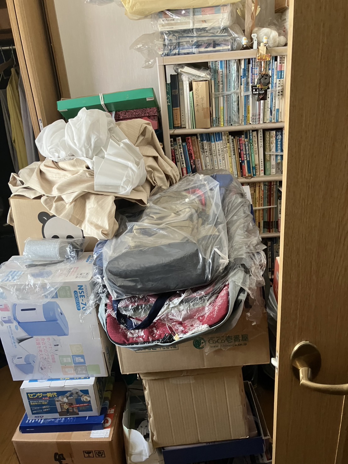 作業前の写真