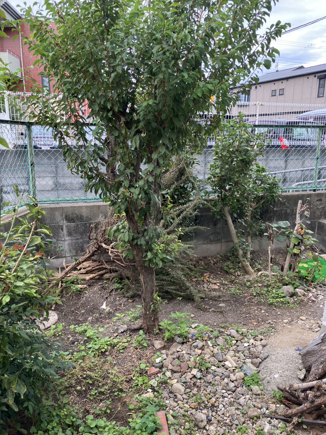 作業前の写真