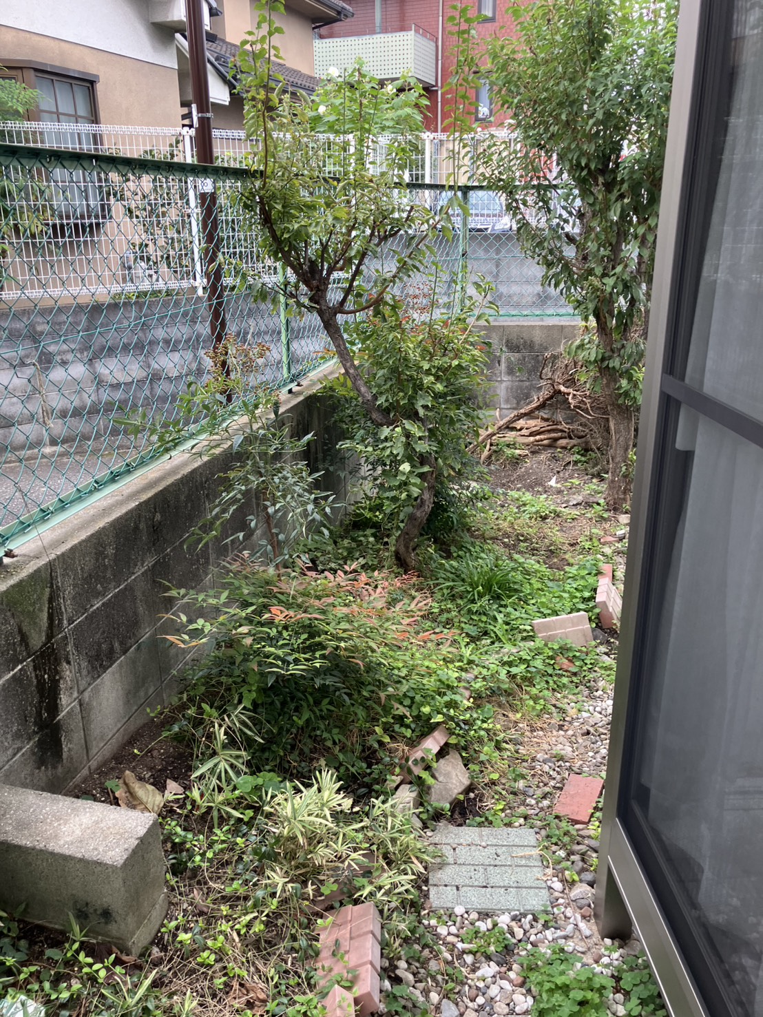 作業前の写真