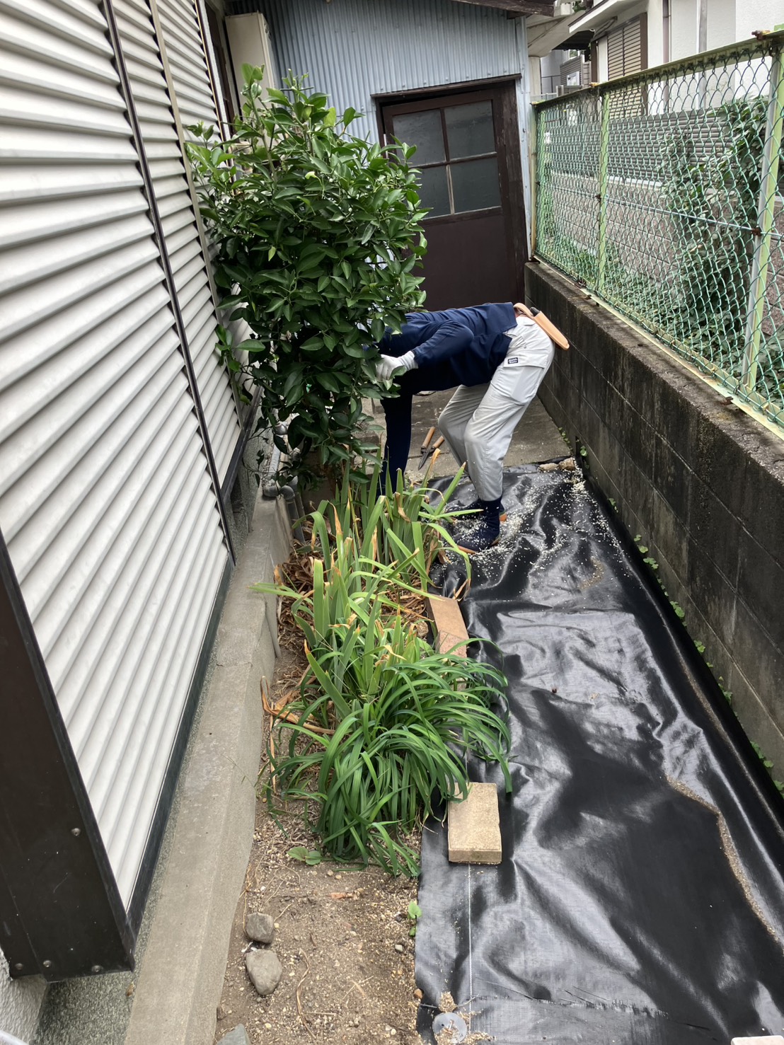 作業前の写真