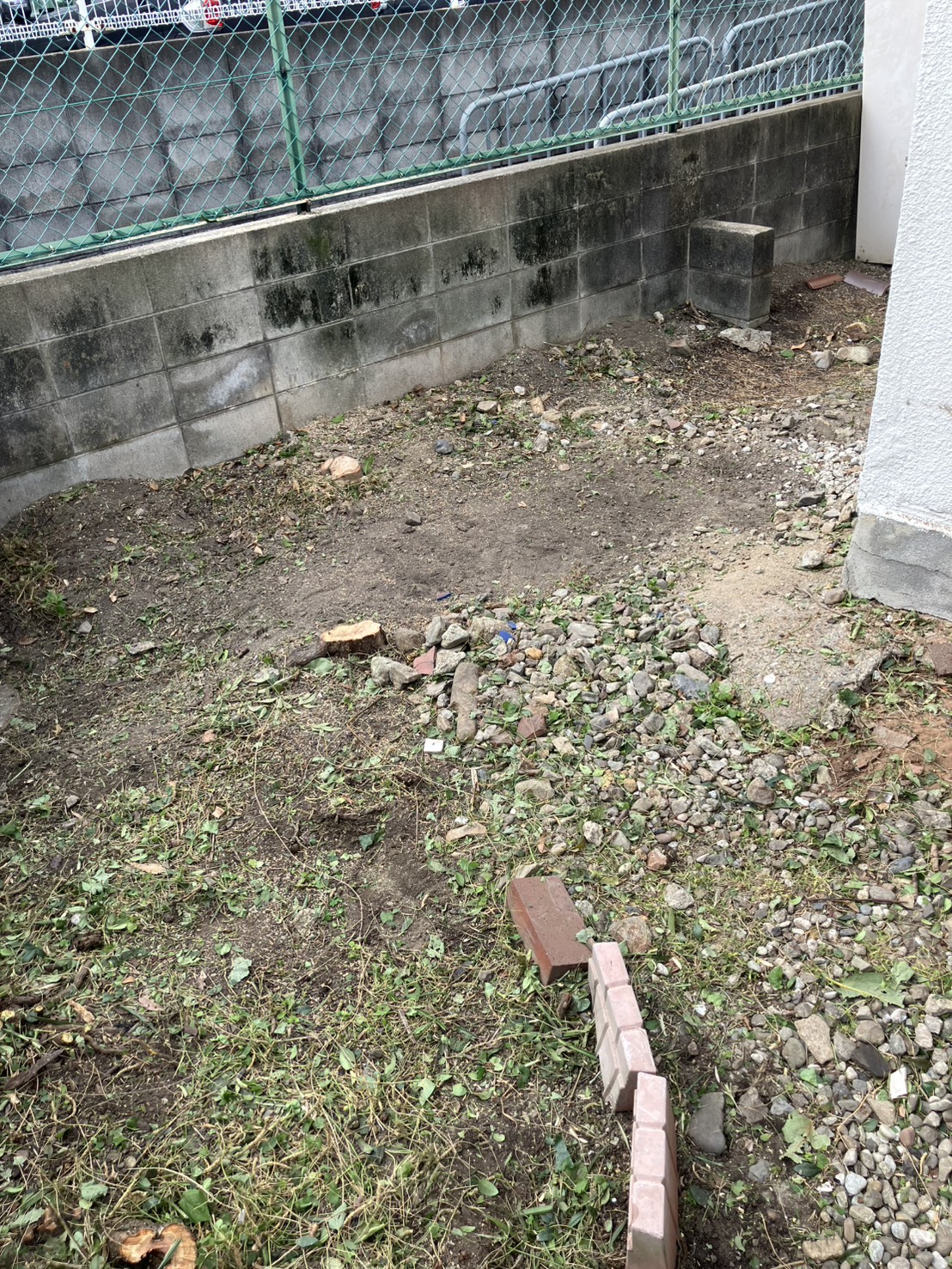 作業後の写真