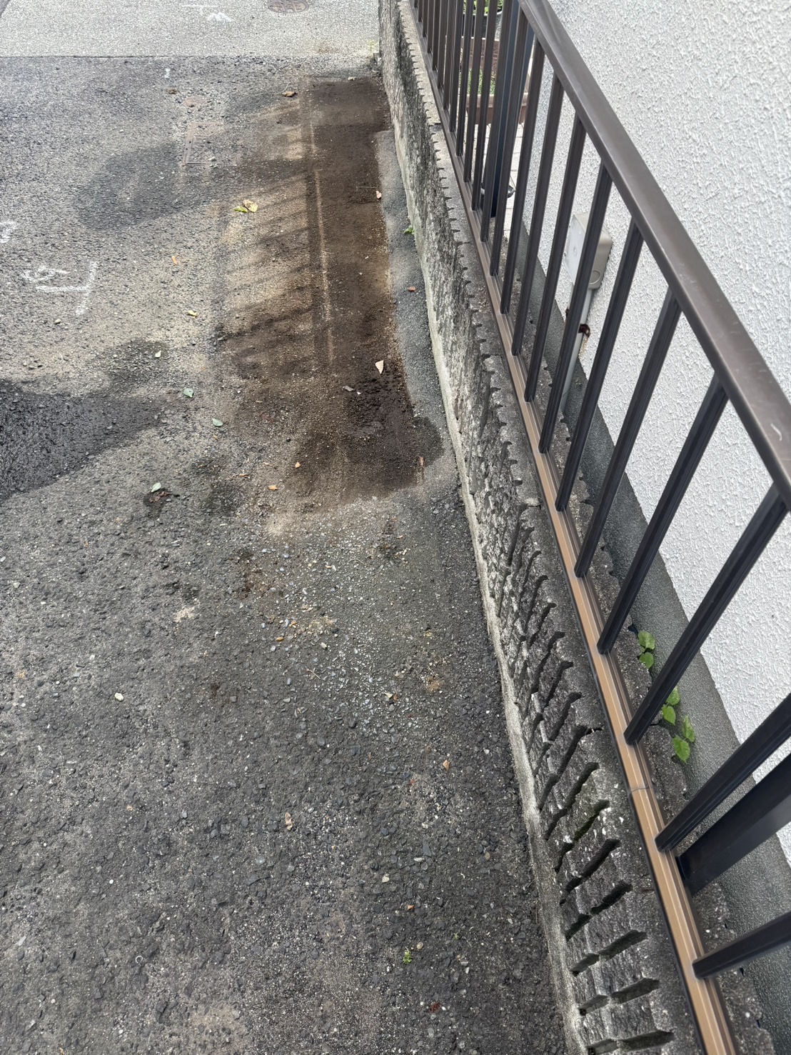 作業後の写真