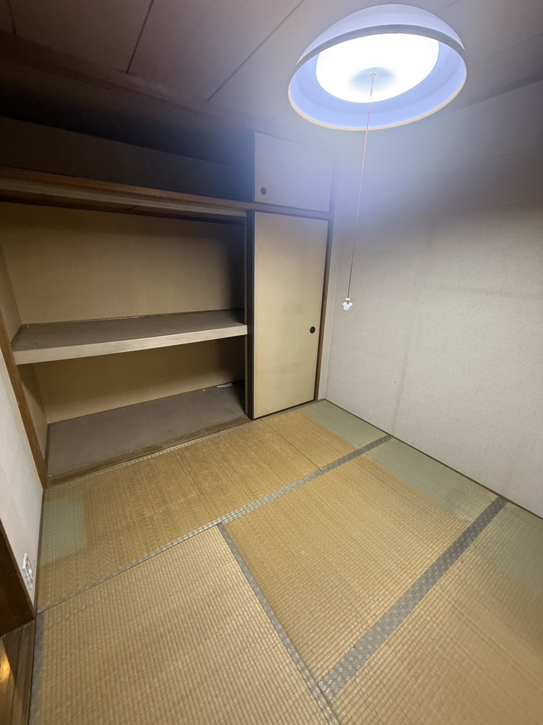 作業後の写真