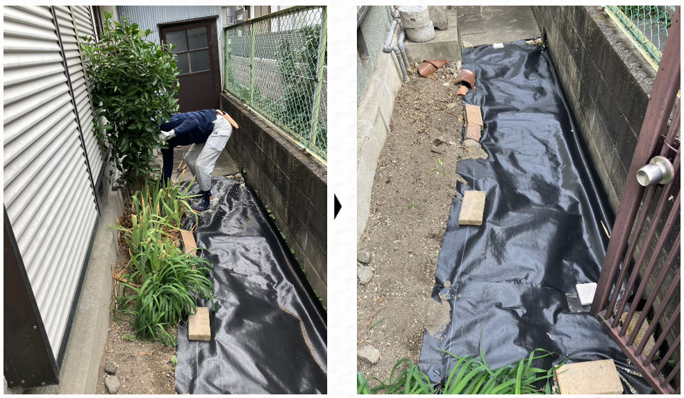 お庭お手入れの伐採・除草作業のご依頼